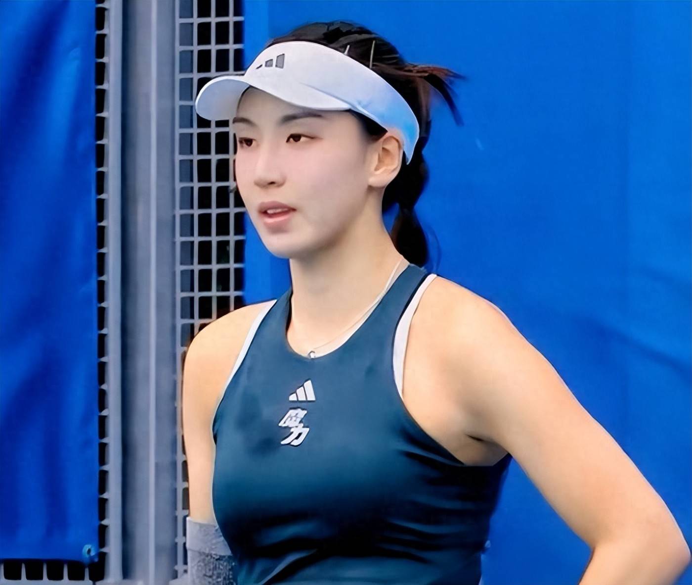 并不仅仅体 并不仅仅体