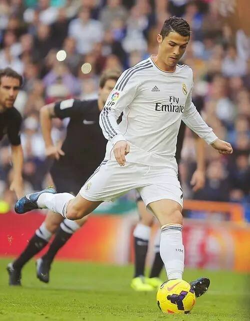 拉菲尼亚不 拉菲尼亚不