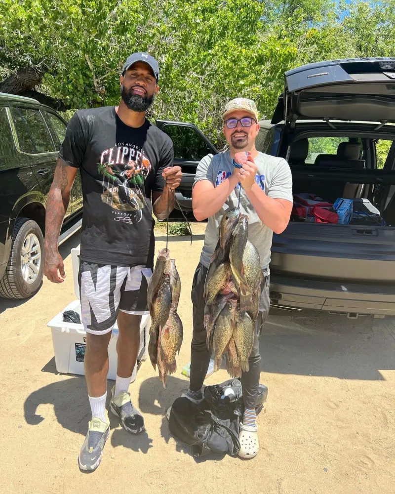 球队体系的 球队体系的